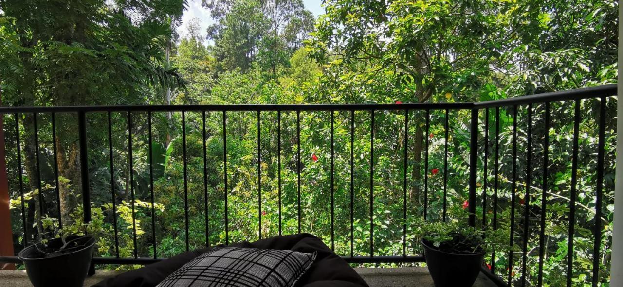 Tantra Ella Lodge Luaran gambar