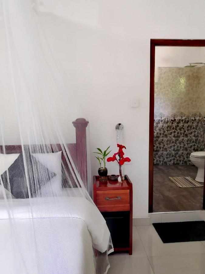 Tantra Ella Lodge Luaran gambar